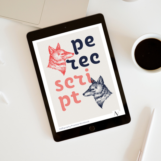 Perec script calligraphy practice workbook